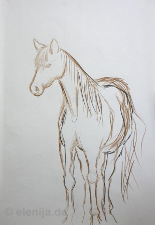 Skizze Pferd 1