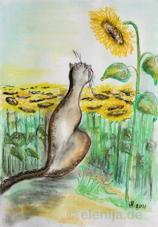 Die Katze und die Sonnenblume, von Elenija