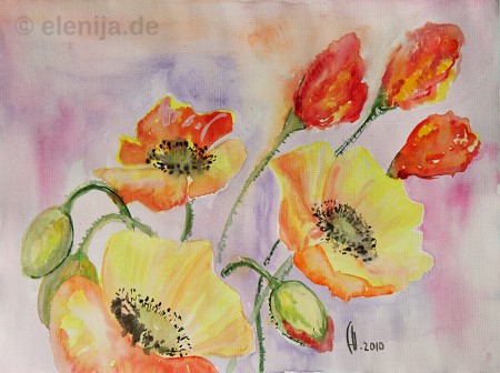 Gelber Mohn, von Elenija