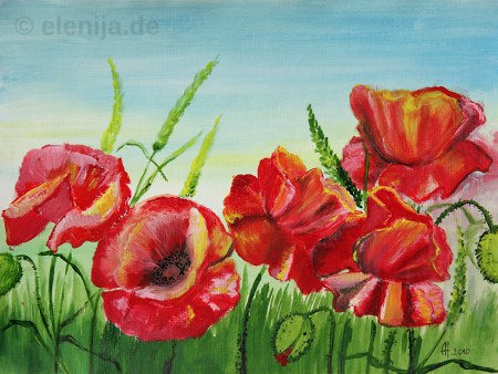 Mohn in der Steppe, von Elenija