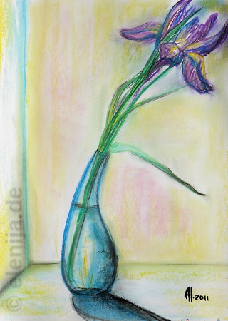 Iris, von Elenija