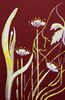 Feld Blumen 1