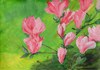 Magnolien